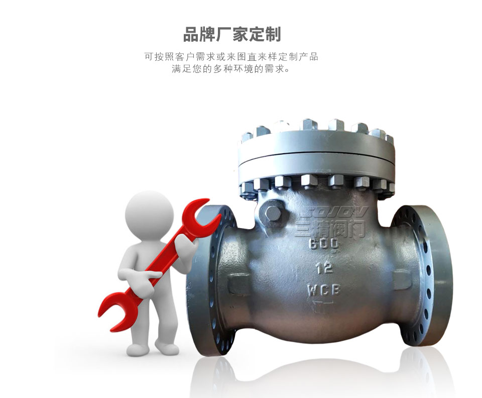 H44Y不銹鋼高壓止回閥可定制 H44Y不銹鋼高壓止回閥可定制