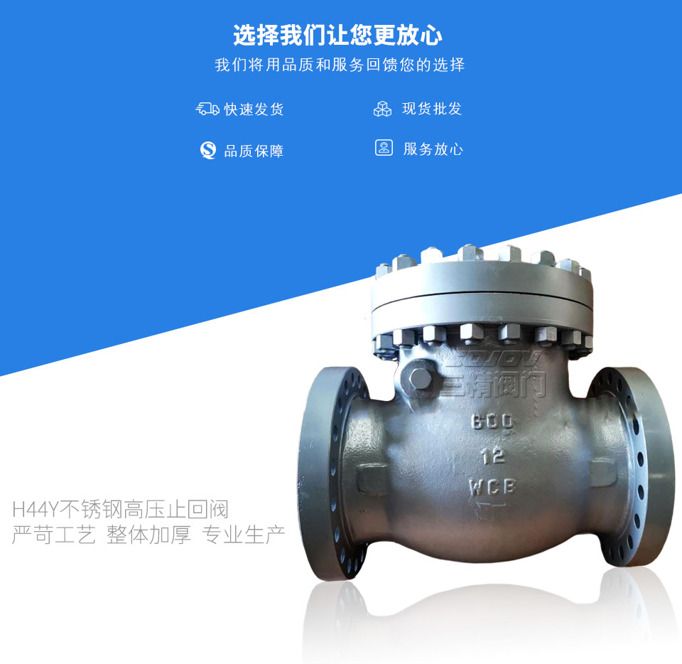 H44Y不銹鋼高壓止回閥 H44Y不銹鋼高壓止回閥