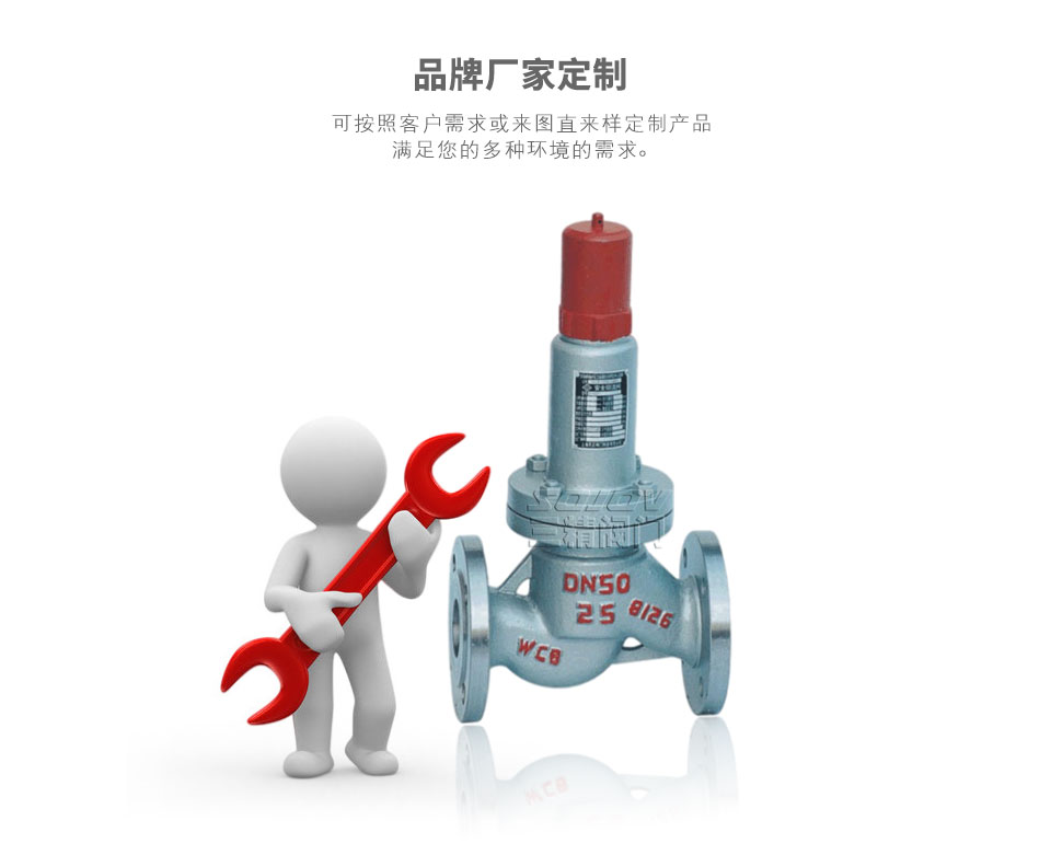 平行式安全回流閥可定制 平行式安全回流閥可定制