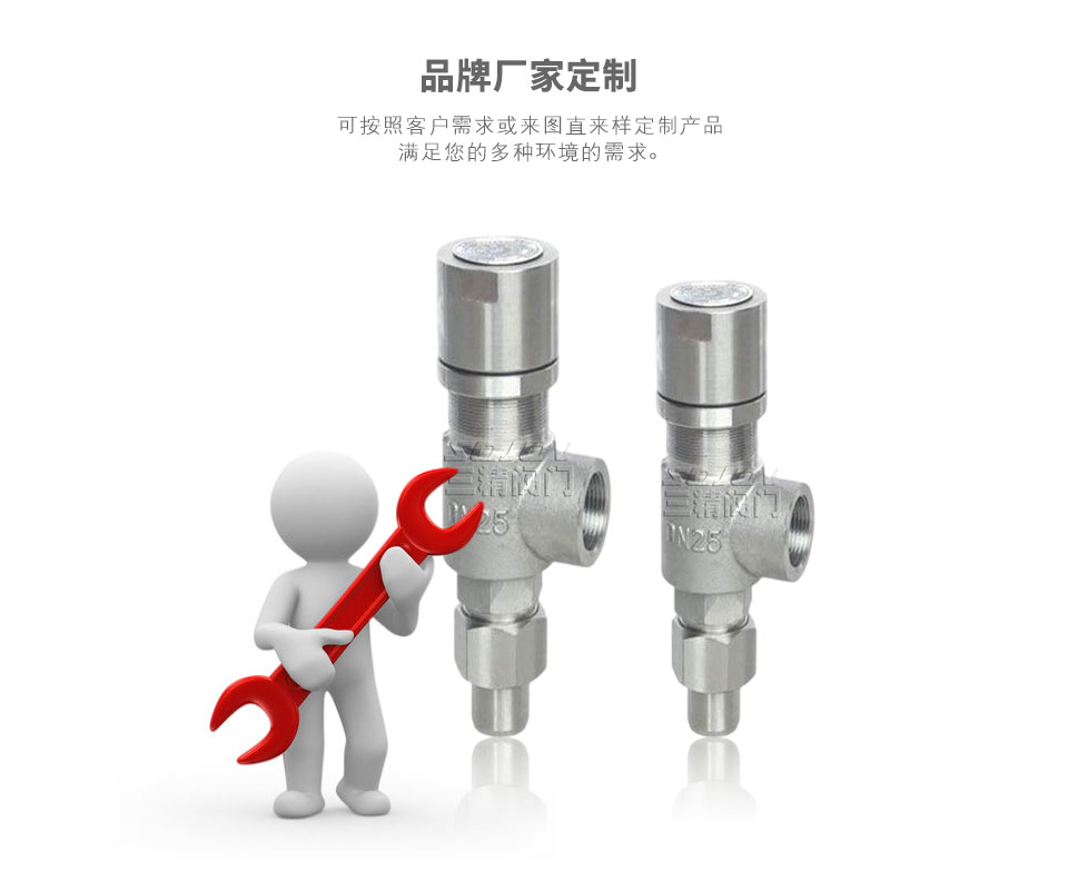 彈簧微啟式外螺紋安全閥可定制 彈簧微啟式外螺紋安全閥可定制