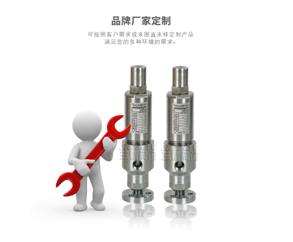高壓安全溢流閥可定制 高壓安全溢流閥可定制