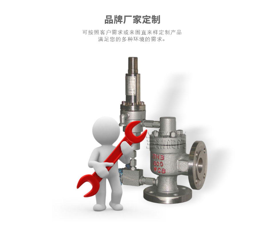 Ax46F先導式安全閥可定制 Ax46F先導式安全閥可定制