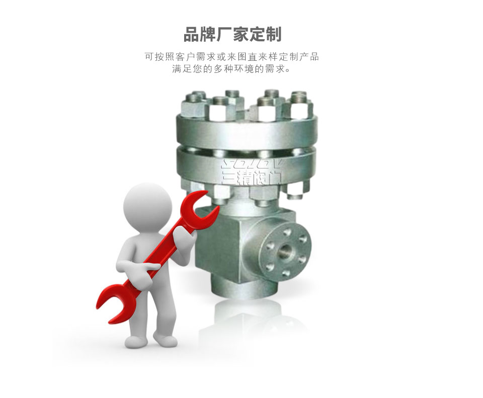 A42Y-1000全啟式超高壓安全閥可定制 A42Y-1000全啟式超高壓安全閥可定制