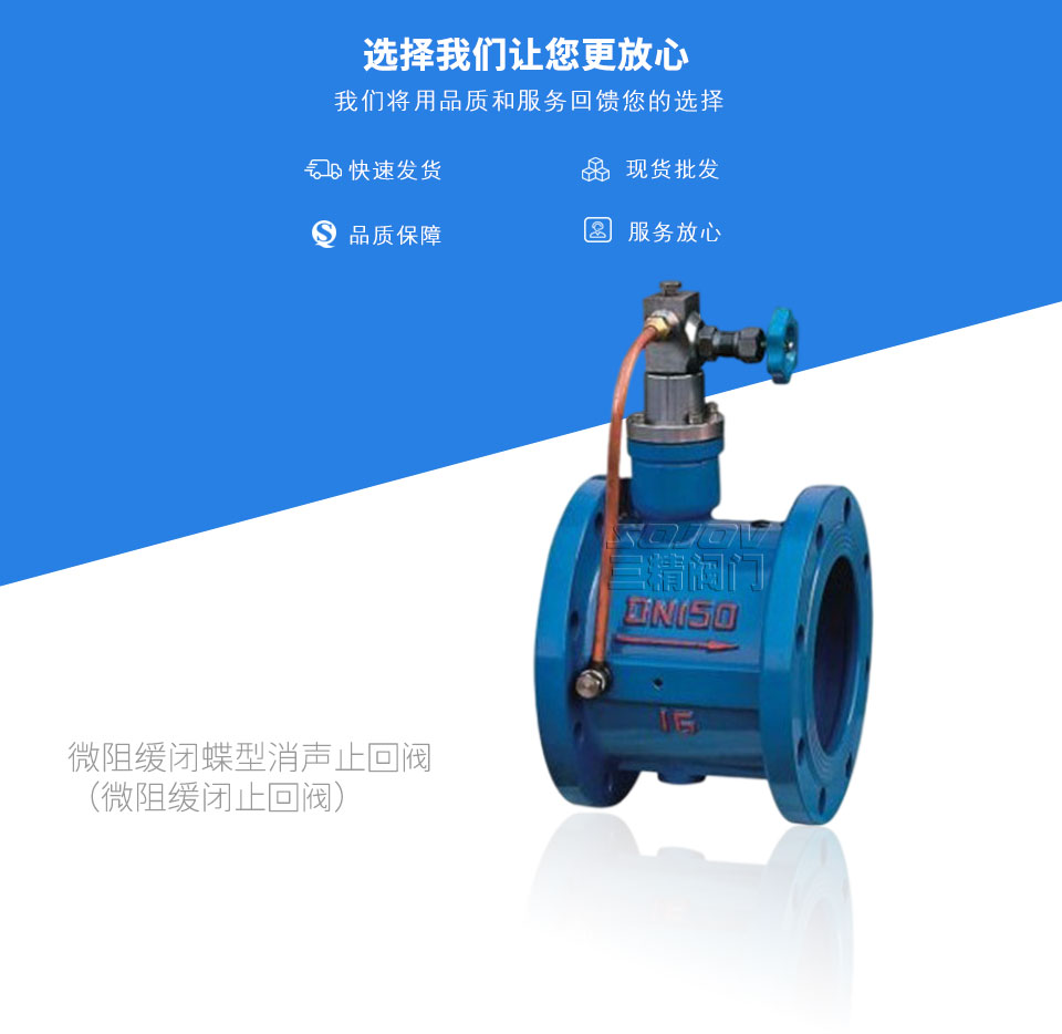 微阻緩閉蝶型消聲止回閥(微阻緩閉止回閥)  微阻緩閉蝶型消聲止回閥(微阻緩閉止回閥)
