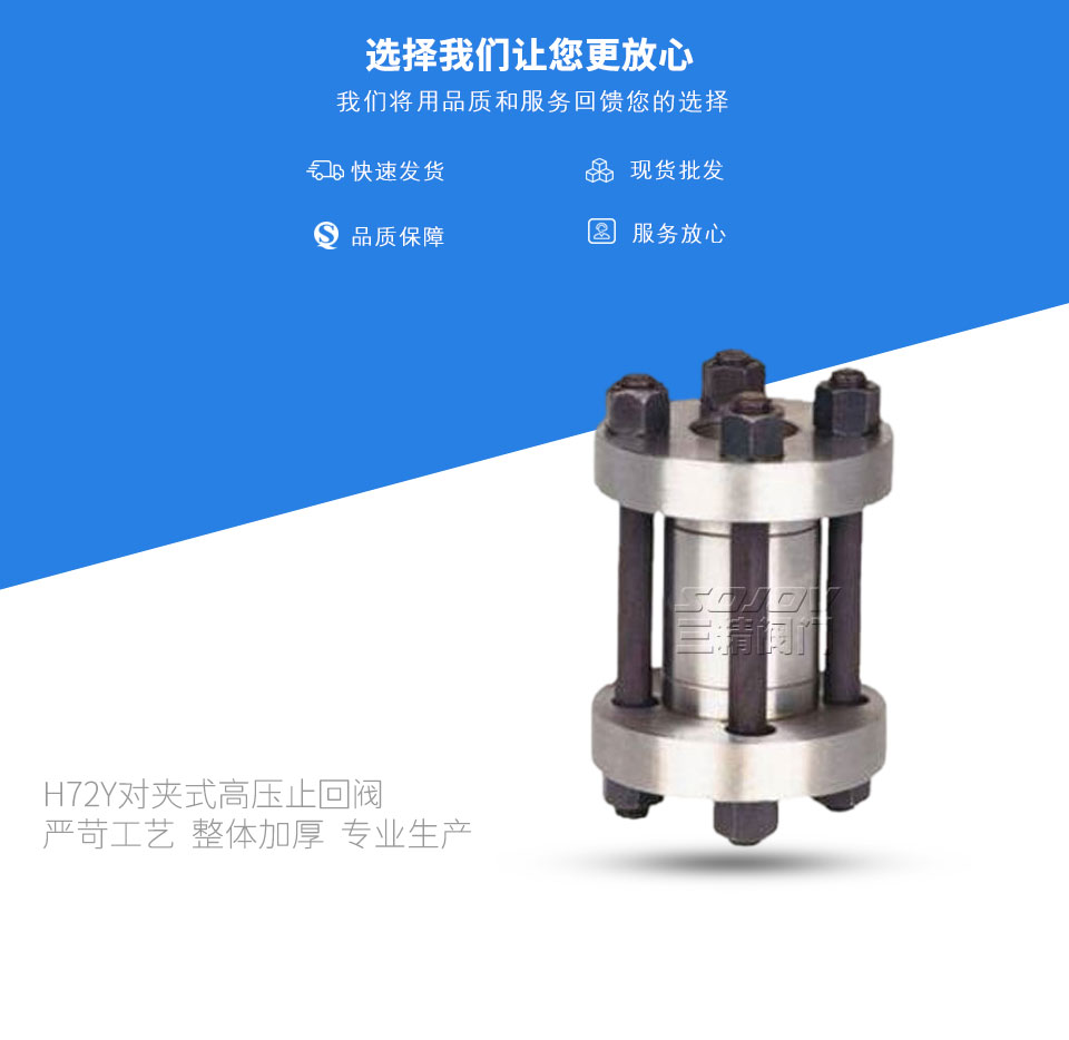 H72Y對(duì)夾式高壓止回閥 H72Y對(duì)夾式高壓止回閥