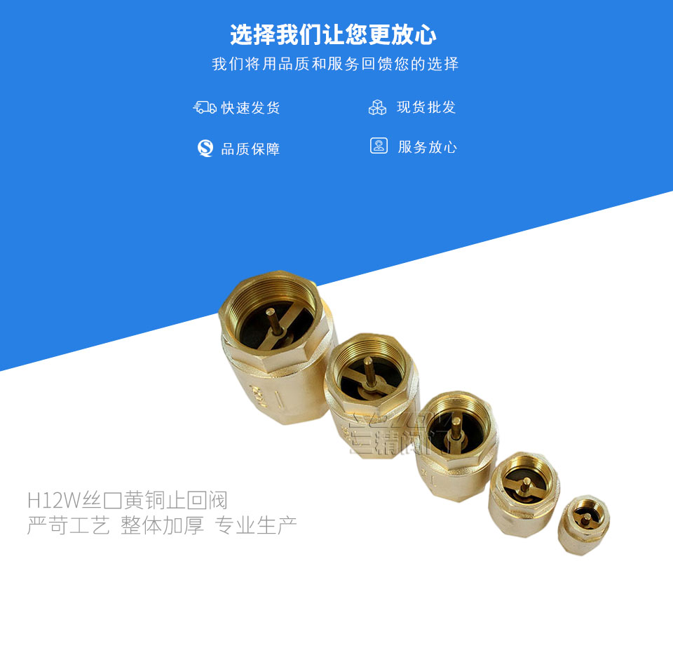 H12W絲口黃銅止回閥 H12W絲口黃銅止回閥