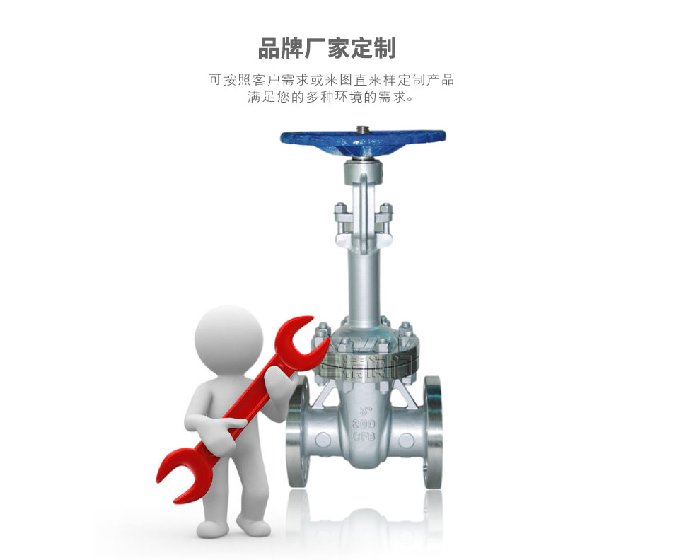 DZ41W不銹鋼低溫閘閥可定制 DZ41W不銹鋼低溫閘閥可定制