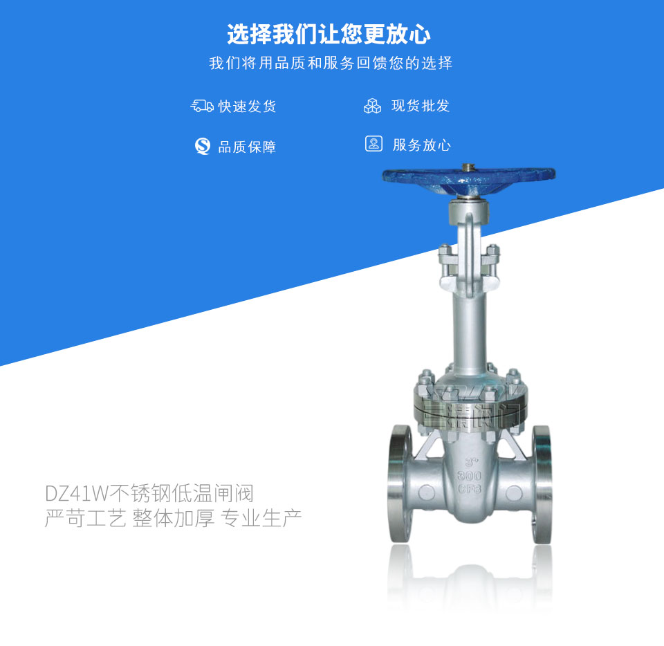 DZ41W不銹鋼低溫閘閥 DZ41W不銹鋼低溫閘閥
