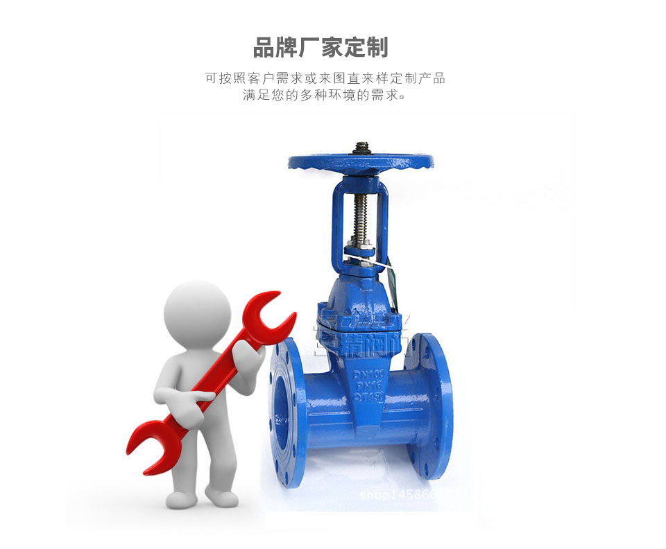 Z41X明桿彈性座封閘閥可定制 Z41X明桿彈性座封閘閥可定制