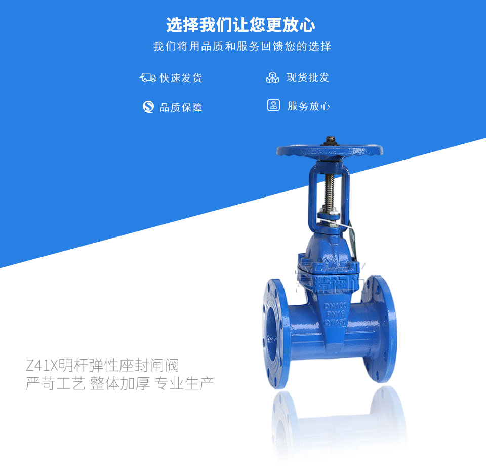 Z41X明桿彈性座封閘閥 Z41X明桿彈性座封閘閥