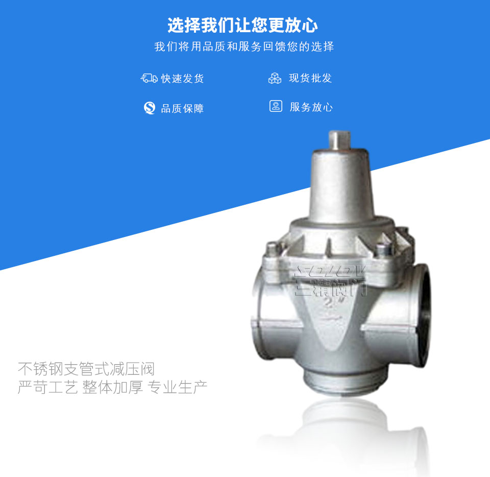 不銹鋼支管式減壓閥 不銹鋼支管式減壓閥