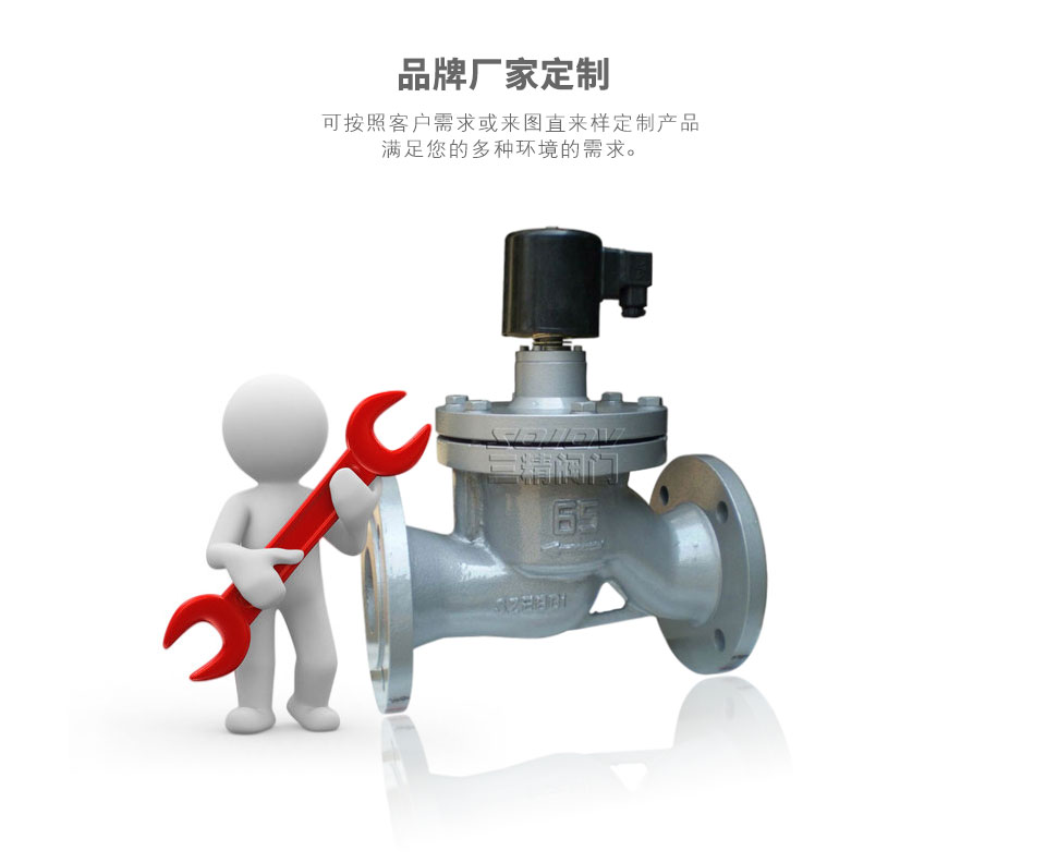 先導活塞式蒸汽電磁閥可定制 先導活塞式蒸汽電磁閥可定制