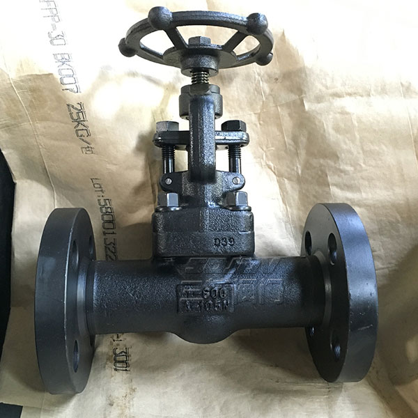 Z41Y���m���l�y