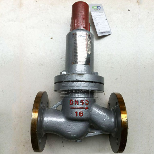 平行式安全回流閥