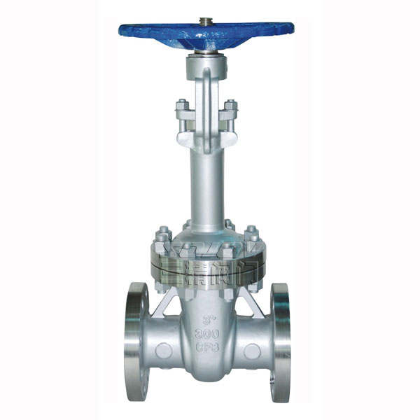 DZ41W不銹鋼低溫閘閥