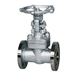 Z41Y美標高壓不銹鋼閘閥